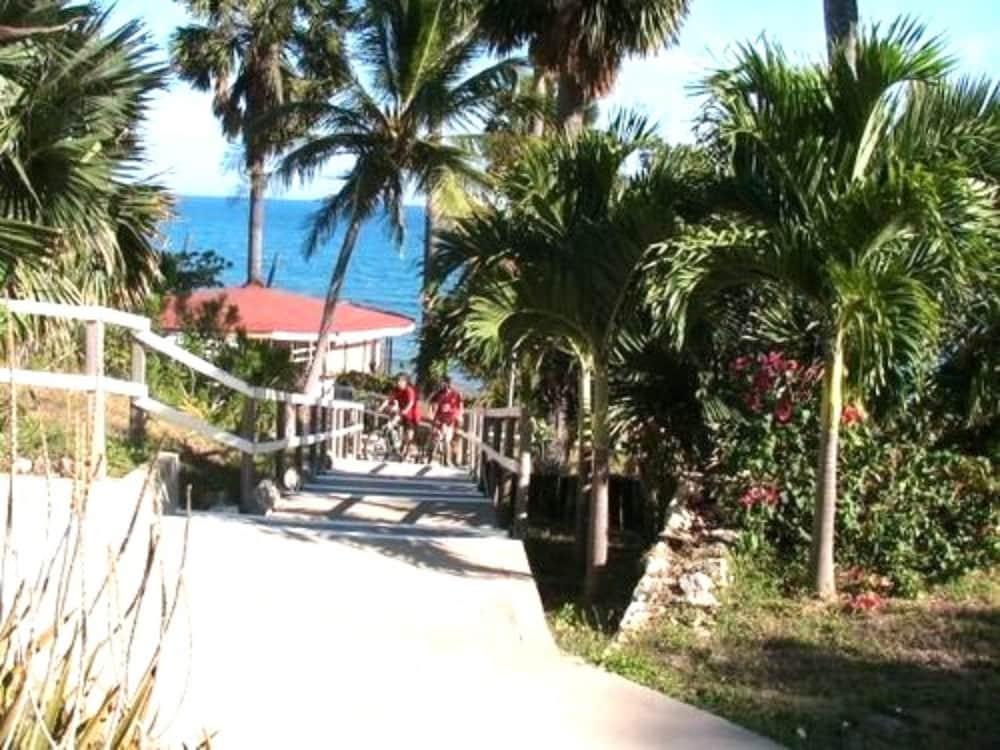 Treasure Beach Hotel Natur foto