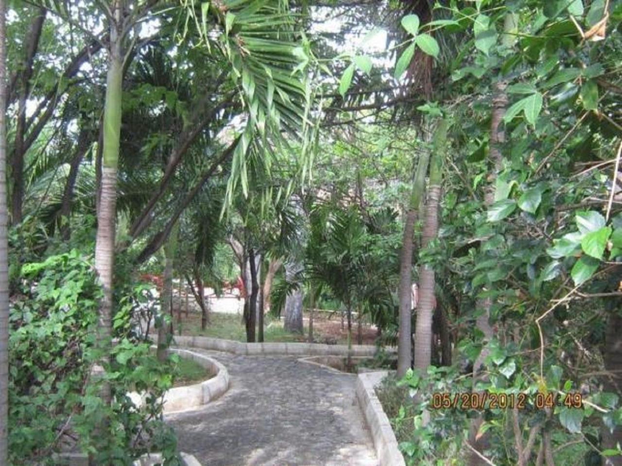 Treasure Beach Hotel Exterior foto